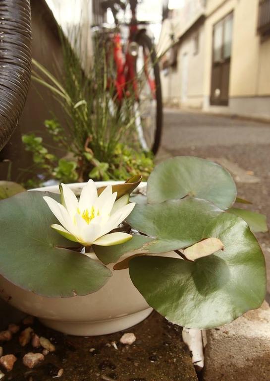 Love Kyoto Kyoenkan Pokoj fotografie